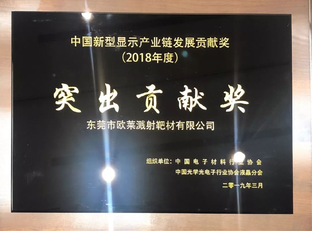2018年度中国新型显示产业链发展贡献奖